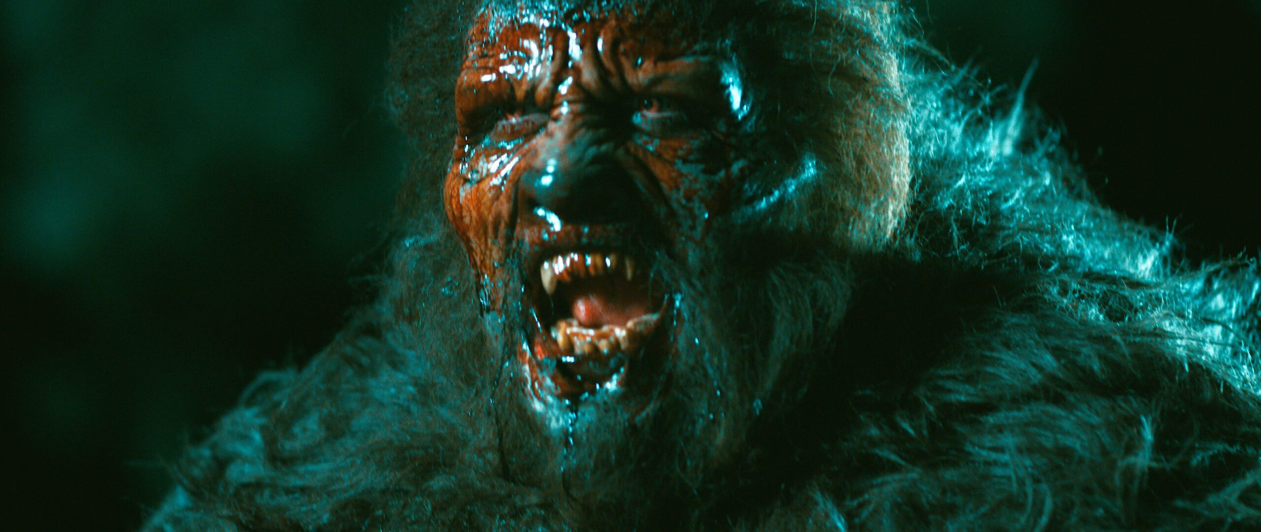 ゴジラvsコング 死霊のはらわた の衝撃 ドーン オブ ザ ビースト 魔獣の森 11 12公開 予告編解禁