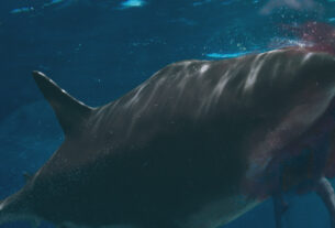 Sub3 Web映画マガジン Cowai コワイ