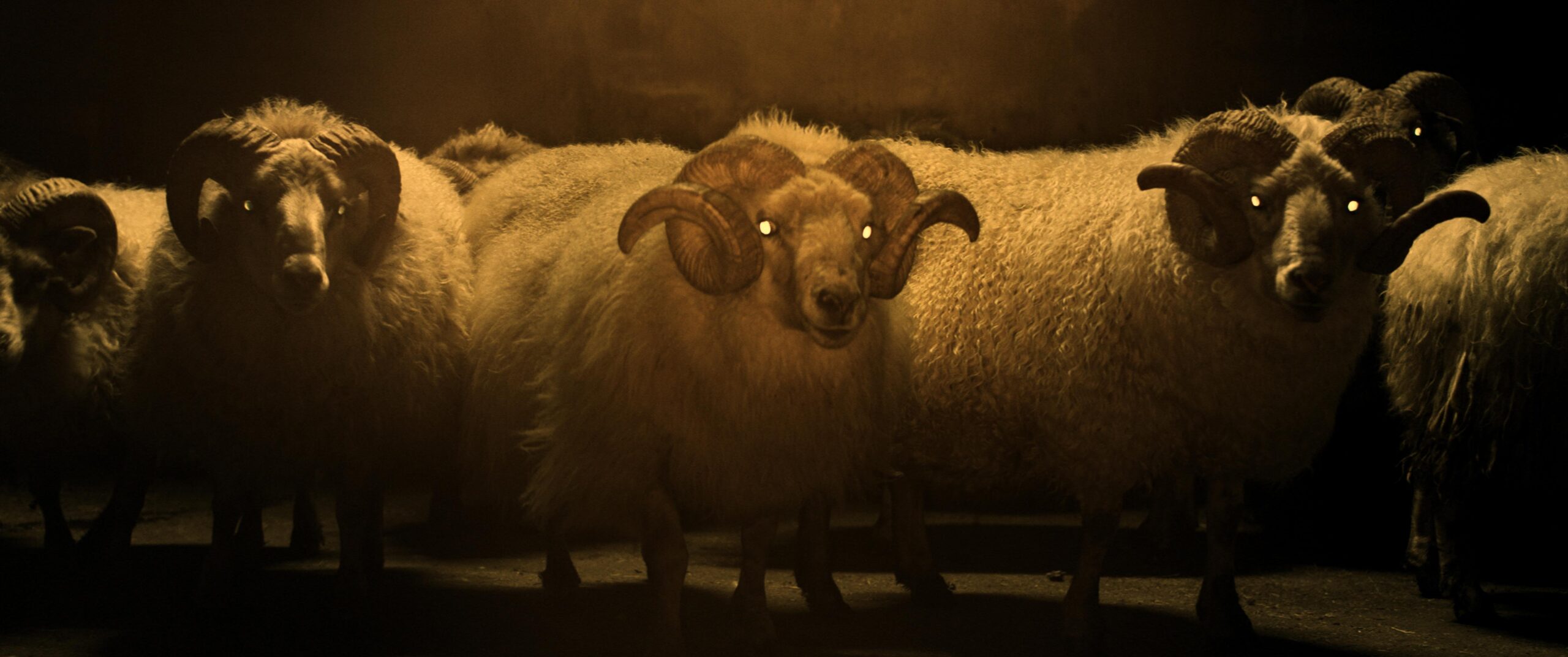 羊が 1 匹、羊が 2 匹…」不穏すぎる15 秒予告が解禁！禁断のネイチャー